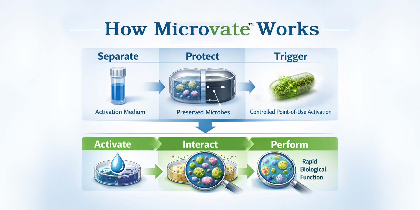 Microvate dual-component separated storage and activation diagram
